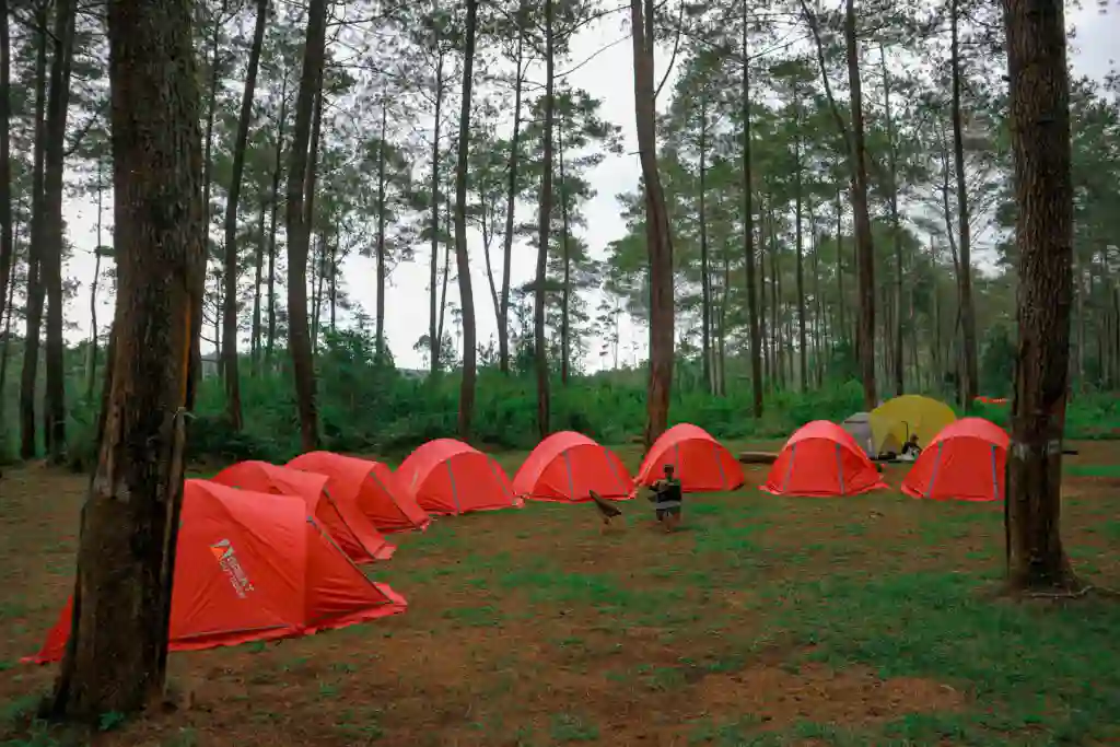 Harga Sewa Alat Camping
