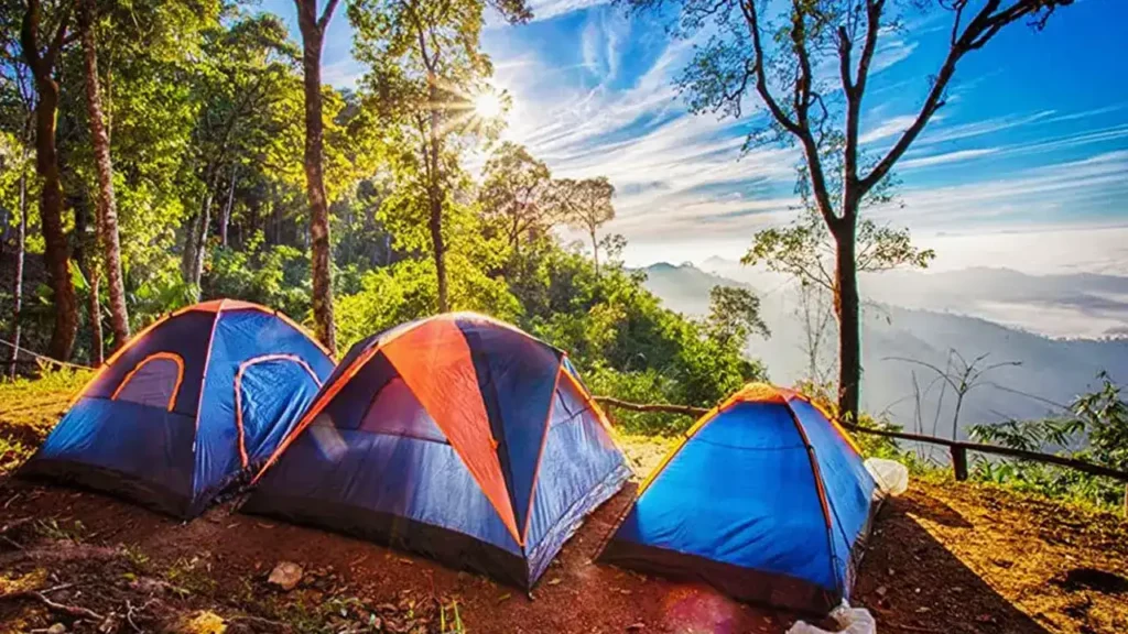 Mempersiapkan Lokasi Camping